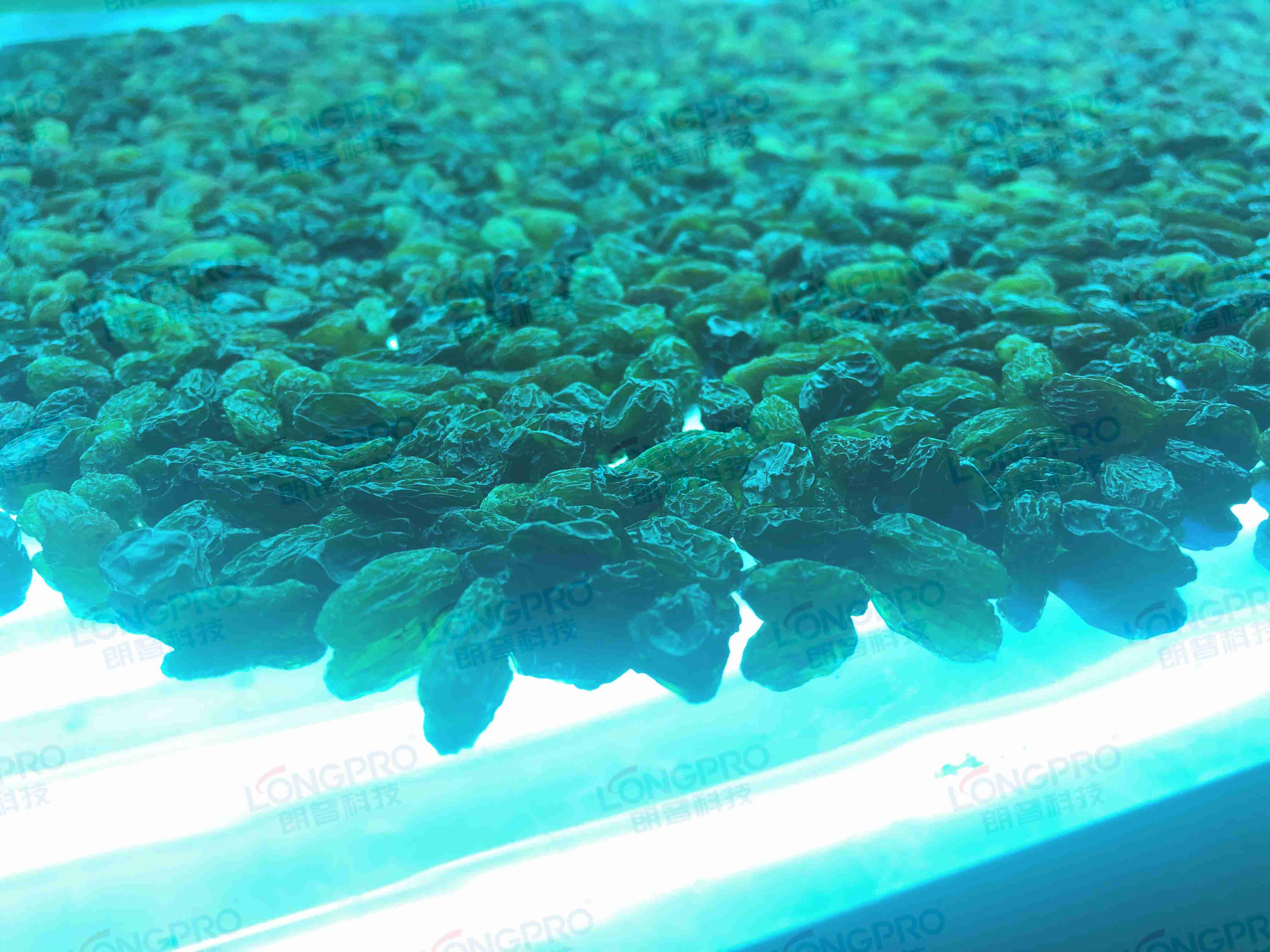 食品細菌超標怎么解決？utf-8