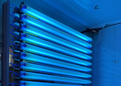 如何通過UV紫外光照實驗箱構(gòu)建動物皮膚光老化模型？